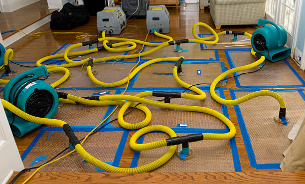 Professional Basement Flood Cleanup technician working in Carrollton, AL